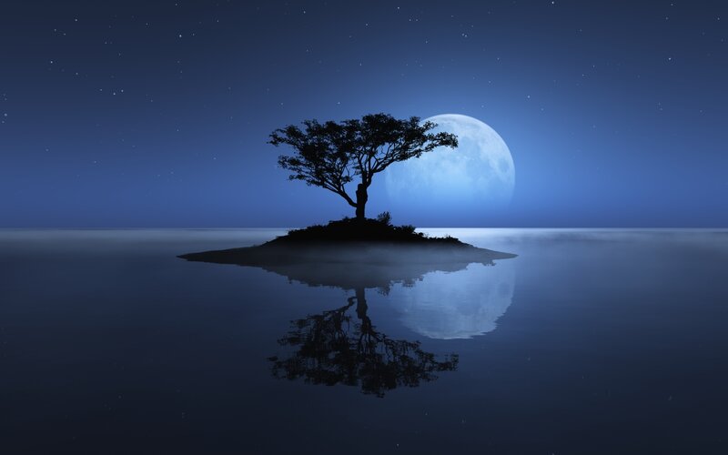 solitary tree on island at night
