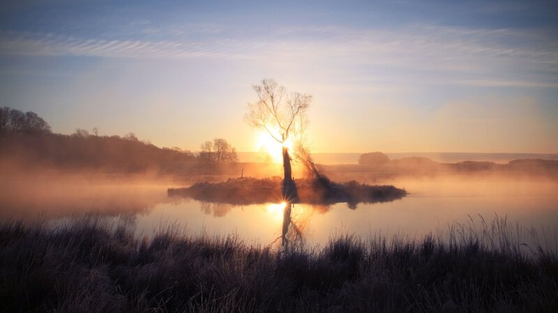 Solitary Tree on Island — Blue, Serene, Sunrise, Photograph