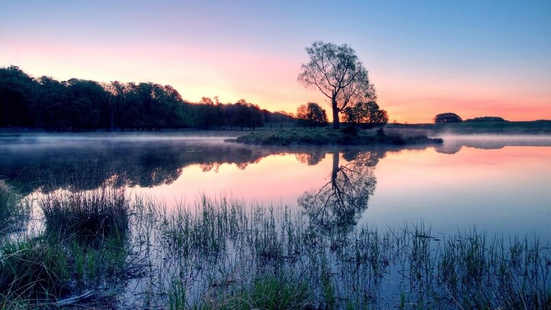 Solitary Tree on Island — Blue, Serene, Sunset