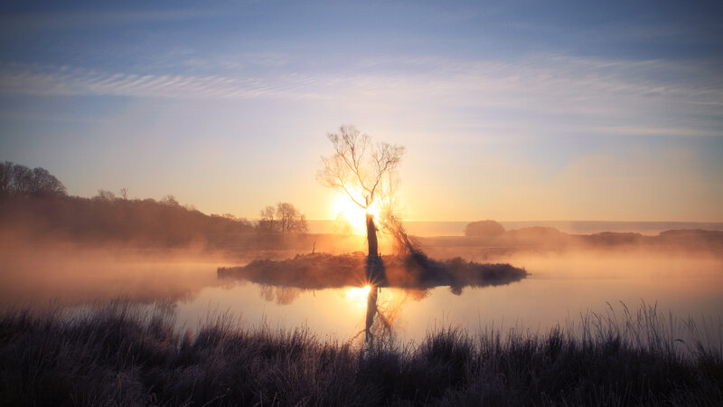 Solitary Tree on Island — Blue, Serene