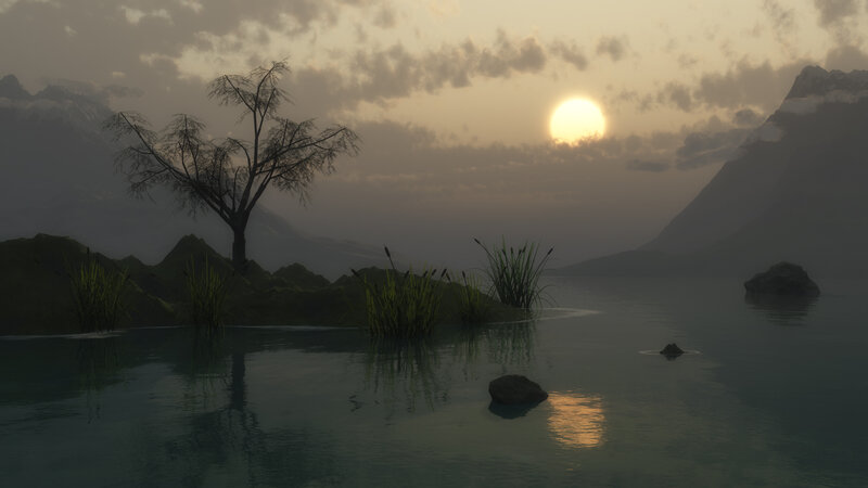 Solitary Tree on Island — Gray