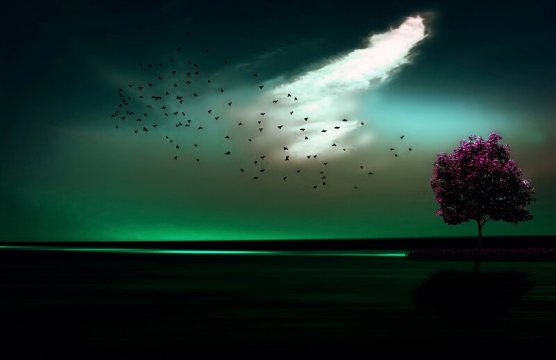 Solitary Tree on Island — Green, Dramatic