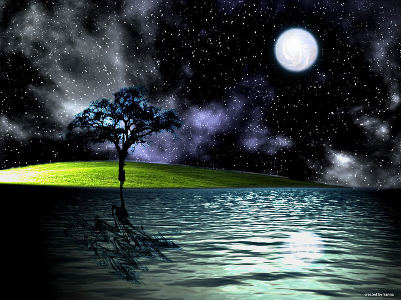 Solitary Tree on Island — Green, Serene
