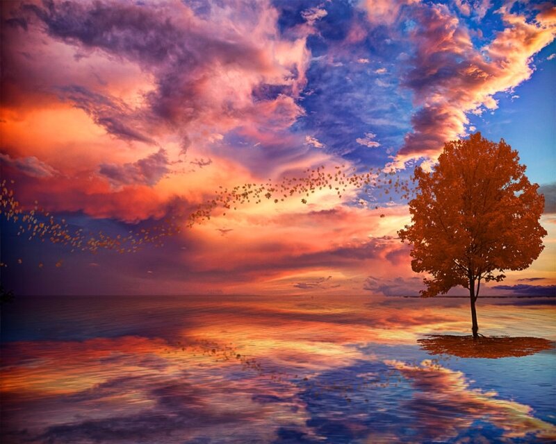 Solitary Tree on Island — Orange, Dramatic, Sunset, Digital Art, Sky