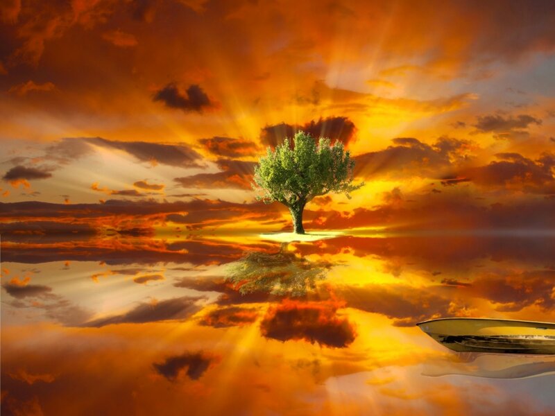 Solitary Tree on Island — Orange, Dramatic, Sunset, Digital Art