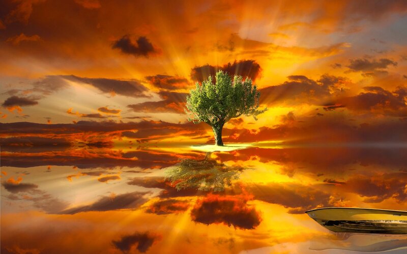 Solitary Tree on Island — Orange, Dramatic, Sunset