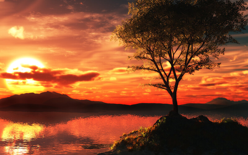 Solitary Tree on Island — Orange, Dramatic