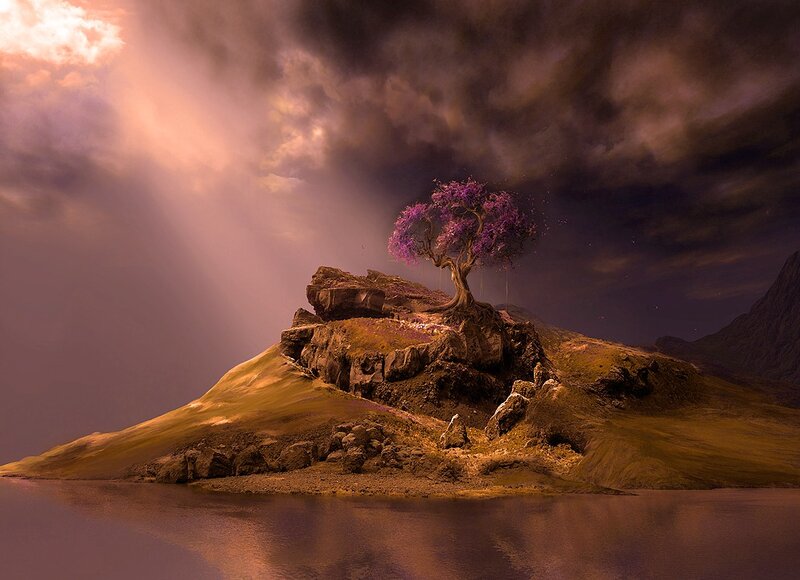Solitary Tree on Island — Purple