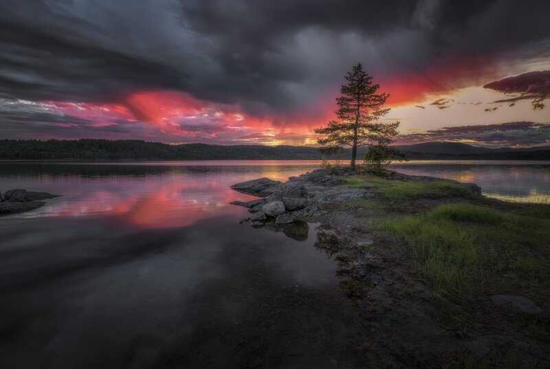 Solitary Tree on Island — Red, Dramatic