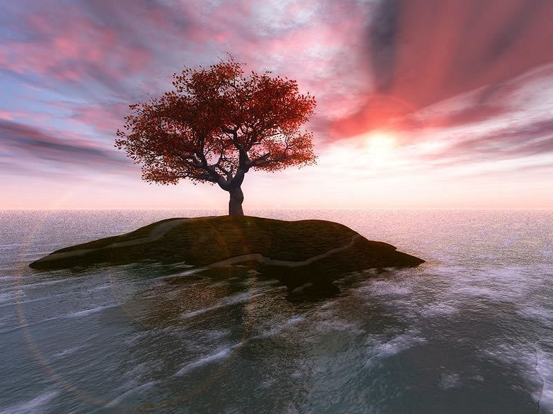 Solitary Tree on Island — Red