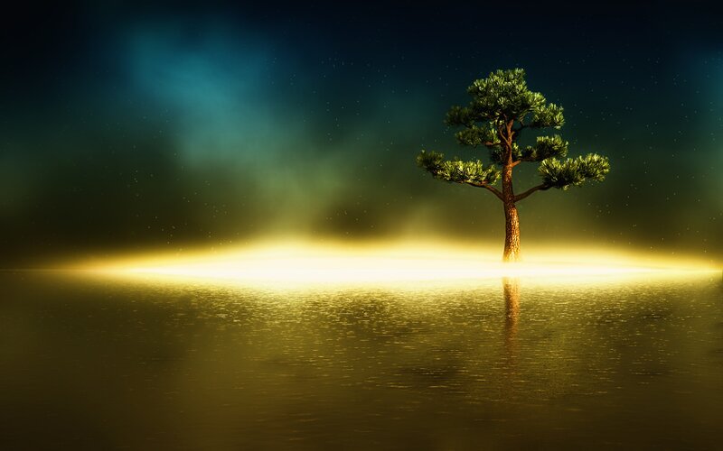 Solitary Tree on Island — Yellow