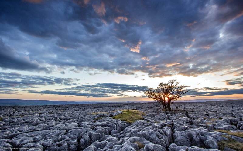 Solitary Tree on Limestone — Blue, Dramatic, Sunset