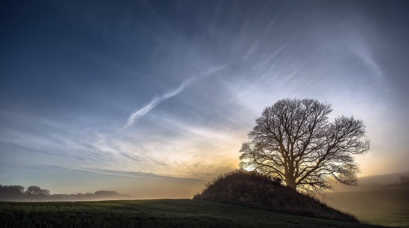 Solitary Tree on Mound