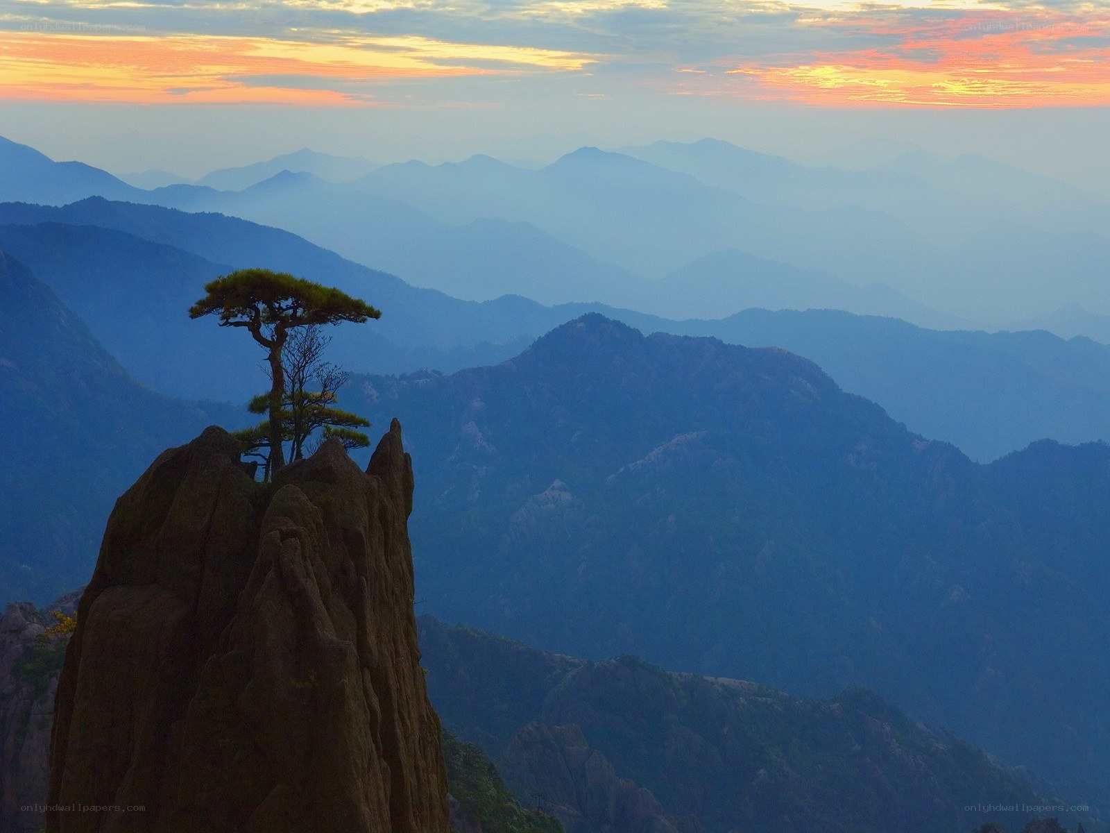 Solitary tree on mountain peak