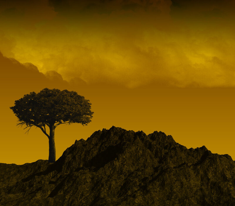 Solitary Tree on Mountain