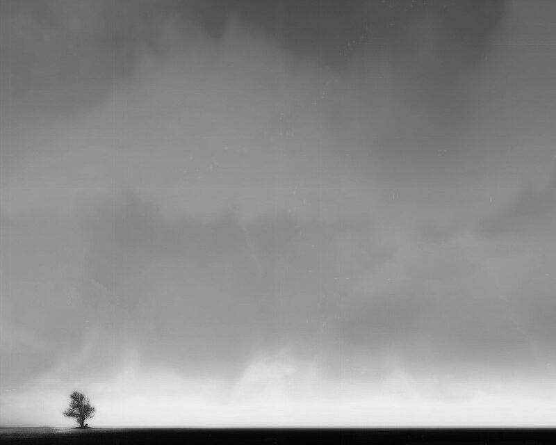 Solitary Tree on Plain — Black, Dramatic