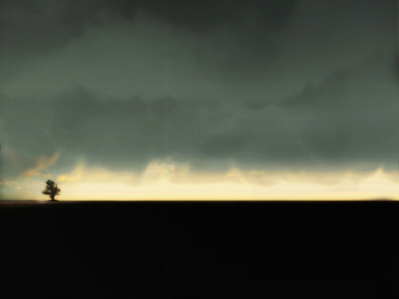 Solitary Tree on Plain — Black