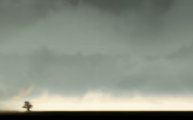 Solitary Tree on Plain — Gray, Dramatic, Sunset