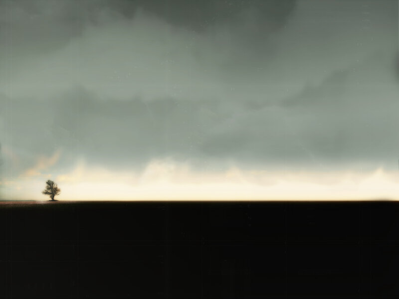 Solitary Tree on Plain — Gray, Dramatic