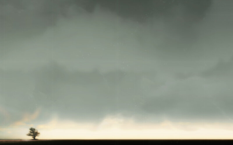 Solitary Tree on Plain — Gray