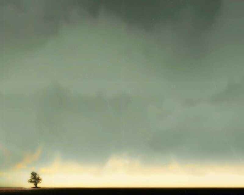 Solitary Tree on Plain — Green