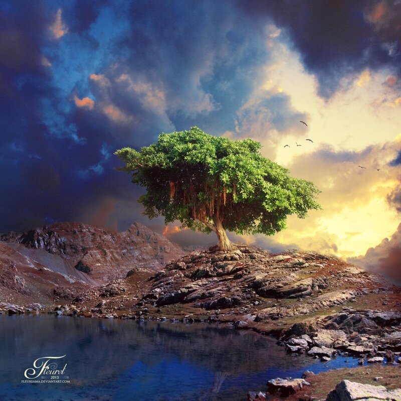 Solitary Tree on Rock — Blue, Dramatic, Sunset