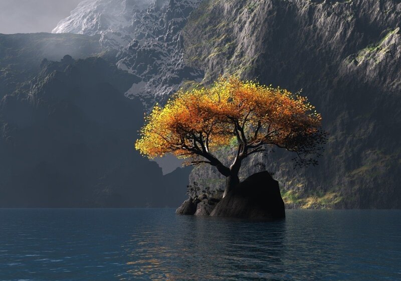 Solitary Tree on Rock — Blue, Dramatic