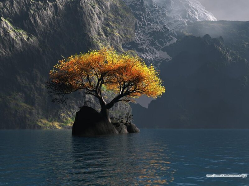 Solitary Tree on Rock — Blue, Serene, Autumn