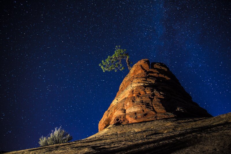 Solitary Tree on Rock — Blue, Serene, Night