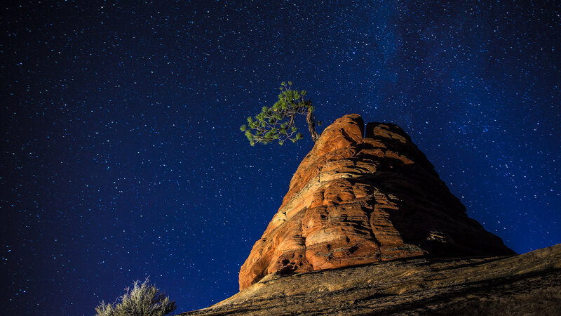 Solitary Tree on Rock — Blue, Serene