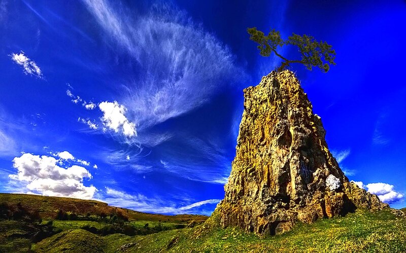 Solitary Tree on Rock — Blue
