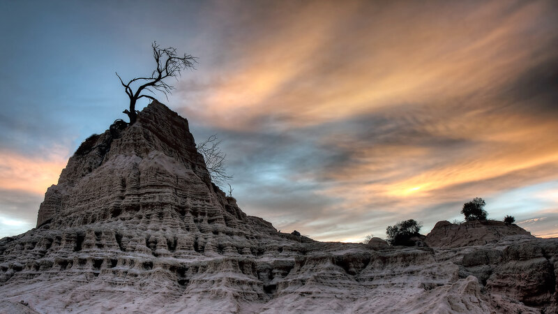 Solitary Tree on Rock Formation — Orange