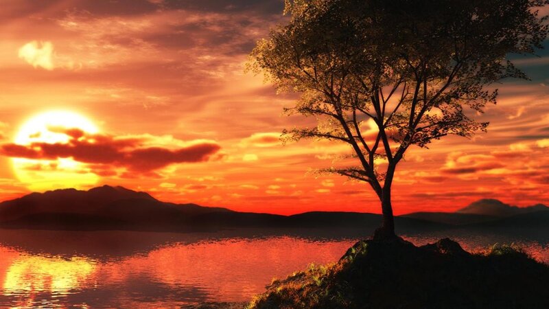 Solitary Tree on Rock — Orange, Dramatic
