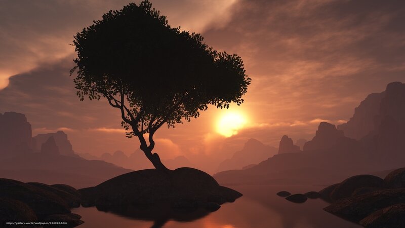 Solitary Tree on Rock — Orange, Serene, Sunset, 3d Render, Sun