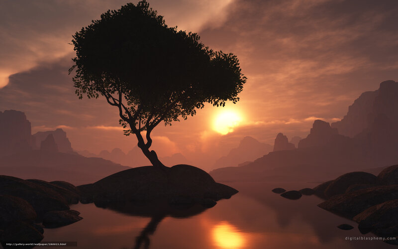 Solitary Tree on Rock — Orange, Serene, Sunset, 3d Render