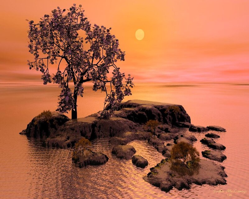 Solitary Tree on Rock — Orange, Serene
