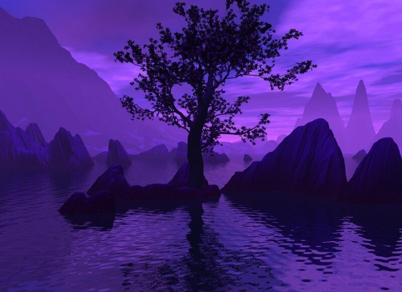 Solitary Tree on Rock — Purple, Serene, Night