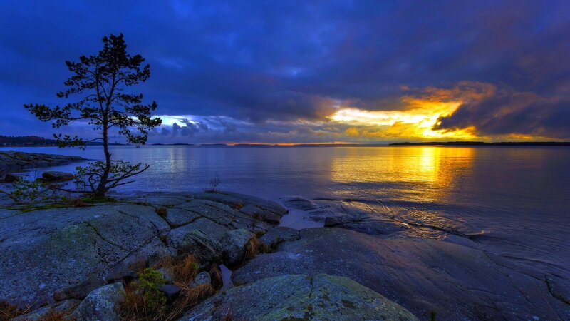 Solitary Tree on Rocks — Blue, Dramatic