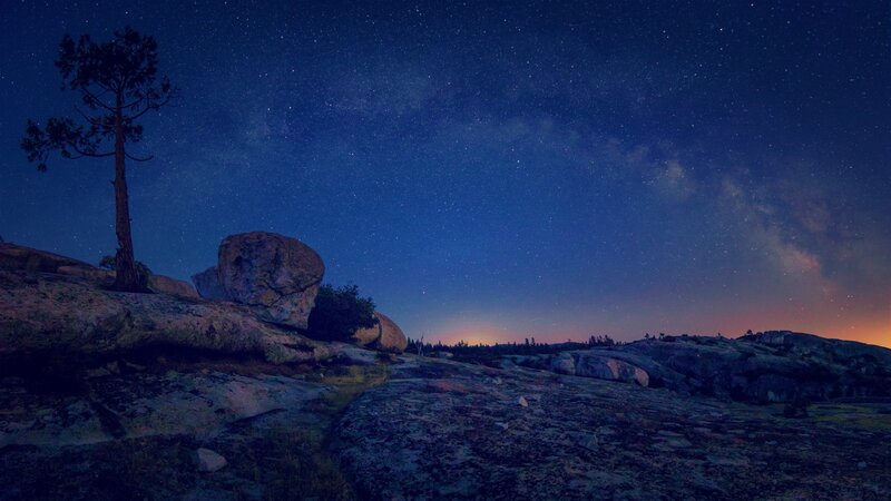 Solitary Tree on Rocks — Blue, Serene, Night