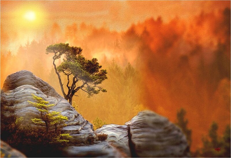 Solitary Tree on Rocks — Orange, Dramatic