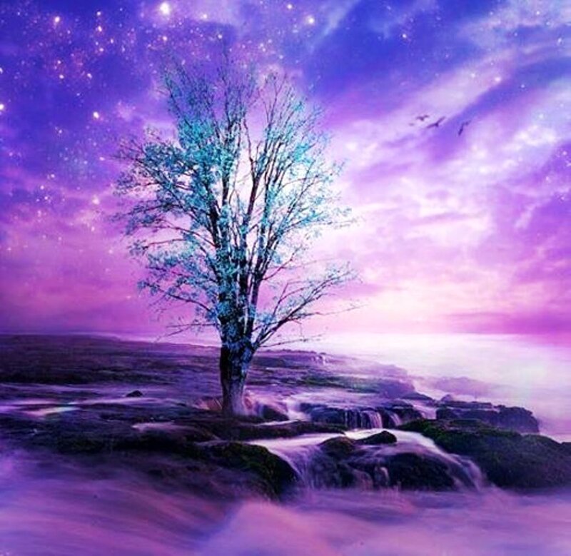 Solitary Tree on Rocks — Purple