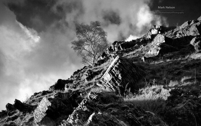 Solitary Tree on Rocky Hill — Black, Dramatic