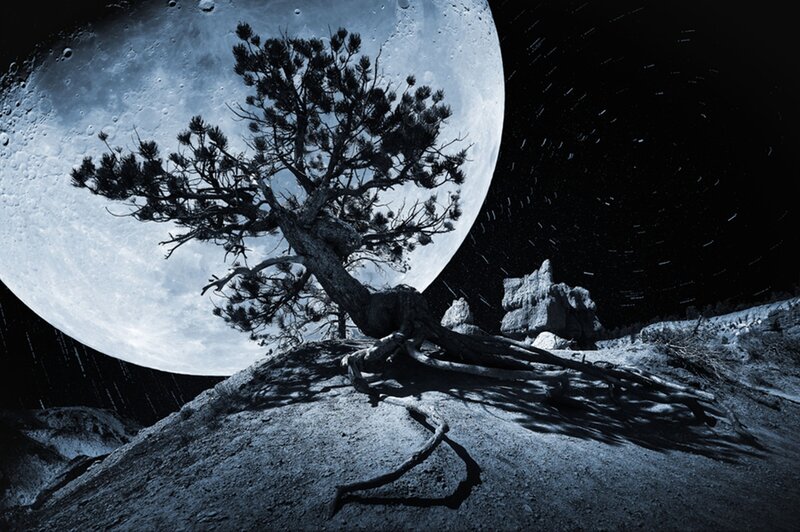 Solitary Tree on Rocky Hill — Blue