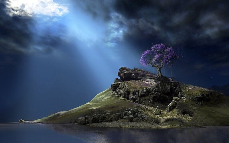 Solitary tree on rocky island