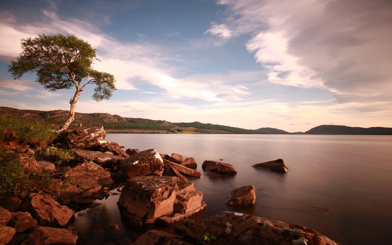 Solitary Tree on Rocky Shore — Blue