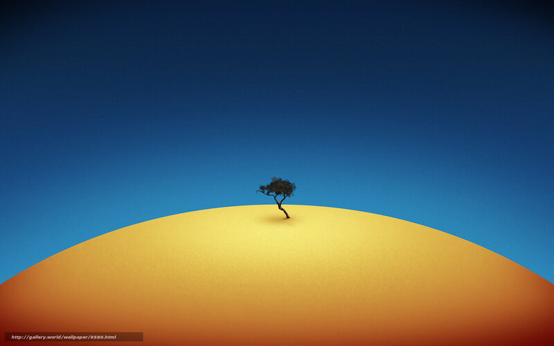 solitary tree on sand dune
