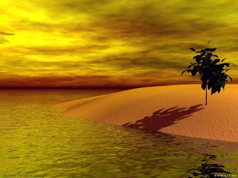 Solitary Tree on Sand Dune — Yellow