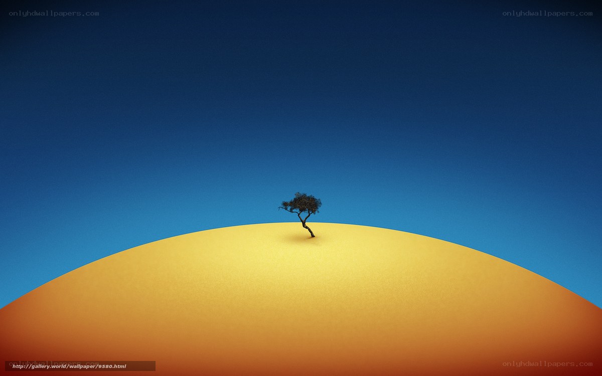solitary tree on sand dune