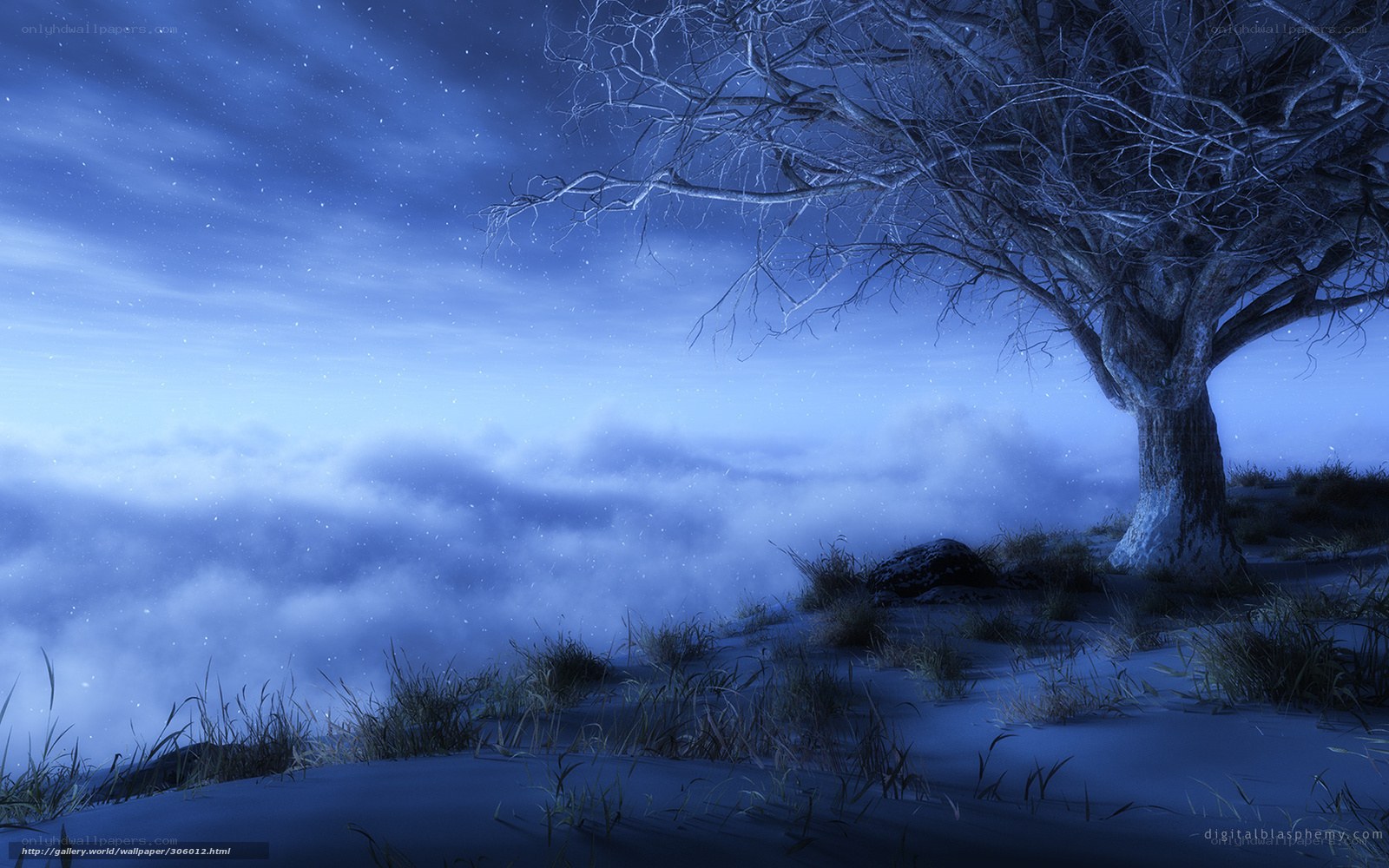 Solitary tree on snowy cliff