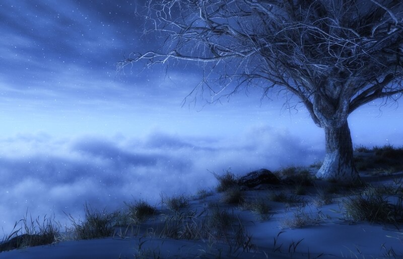 Solitary tree on snowy hill